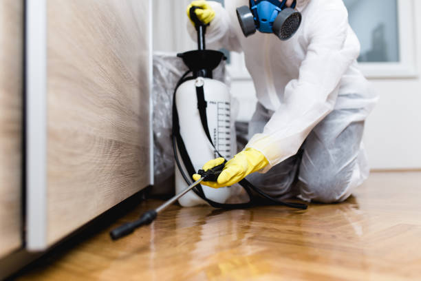 Best Best Pest Control Companies  in Garden City, MO
