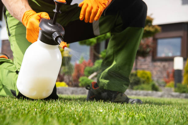 Best Termite Control Services  in Garden City, MO