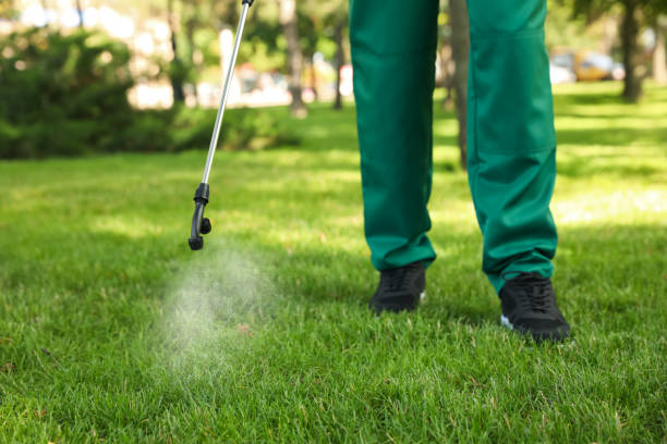 Best Residential Pest Control  in Garden City, MO