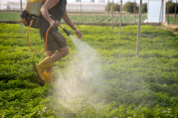 Best Insect Control  in Garden City, MO