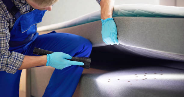 Best Exterminator Services  in Garden City, MO