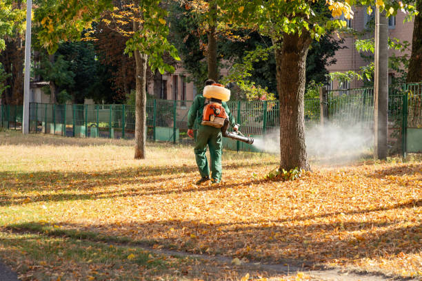 Best Affordable Pest Control Services  in Garden City, MO