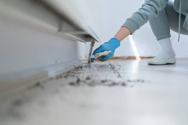 Best Affordable Pest Control Services  in Garden City, MO